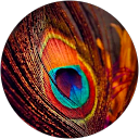 Atchaya S profile picture